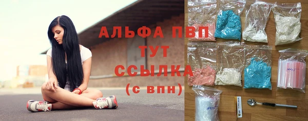 твердый Сосновый Бор