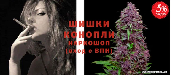 твердый Сосновый Бор